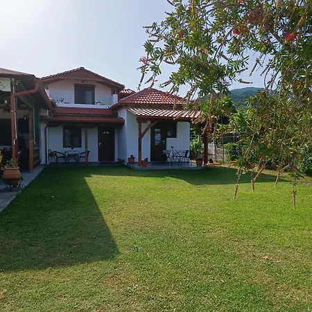 Toula's House *