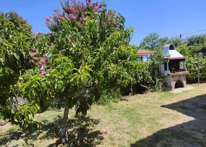 Toula's House Apartament